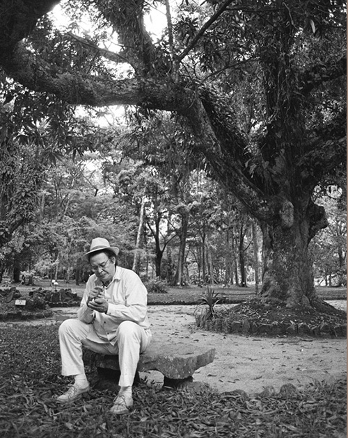 Tom Jobim